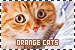 Cats: Orange/Red