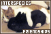 Interspecies Friendships